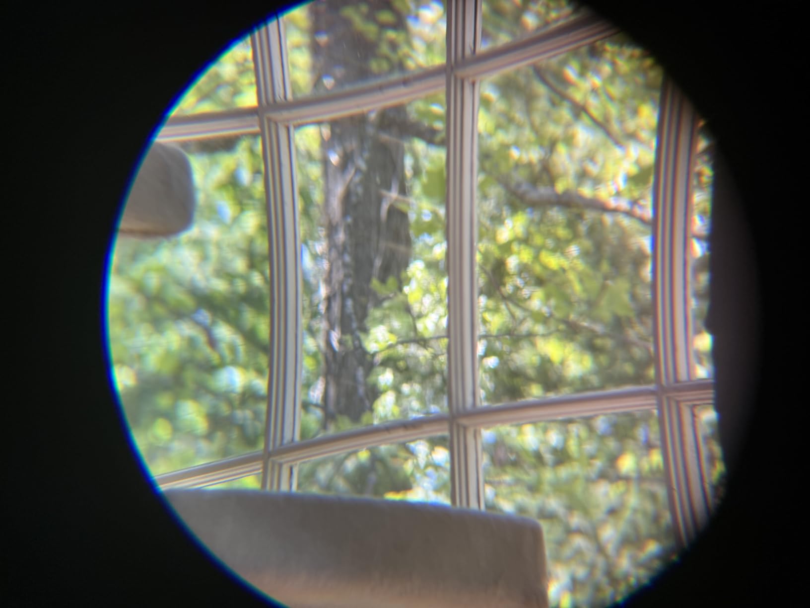 Lucid View 10x25 Compact Binoculars - Lightweight Folding Design with Fully Coated Optics & Rubber Armor - Ideal for Travel, Hiking, Hunting & Sports customer photo 1
