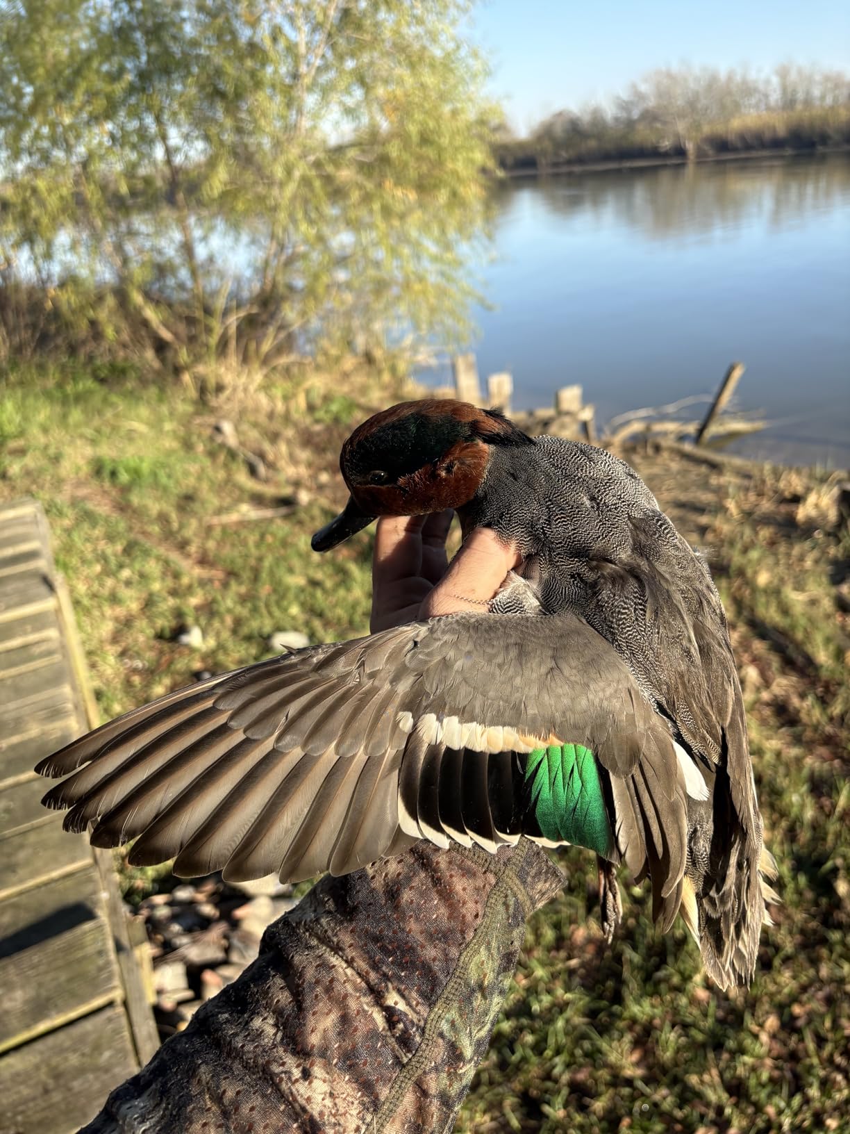Primos Hunting 838 Duck Call, High Roller - Customer Photo 1