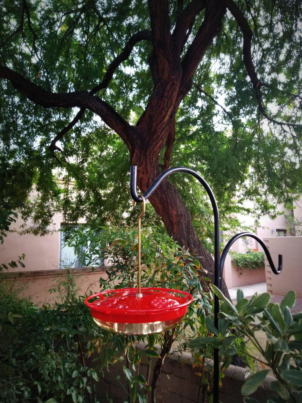 Aspects HummZinger HighView 12 Oz Hanging Hummingbird Feeder - 429, Red customer photo 2