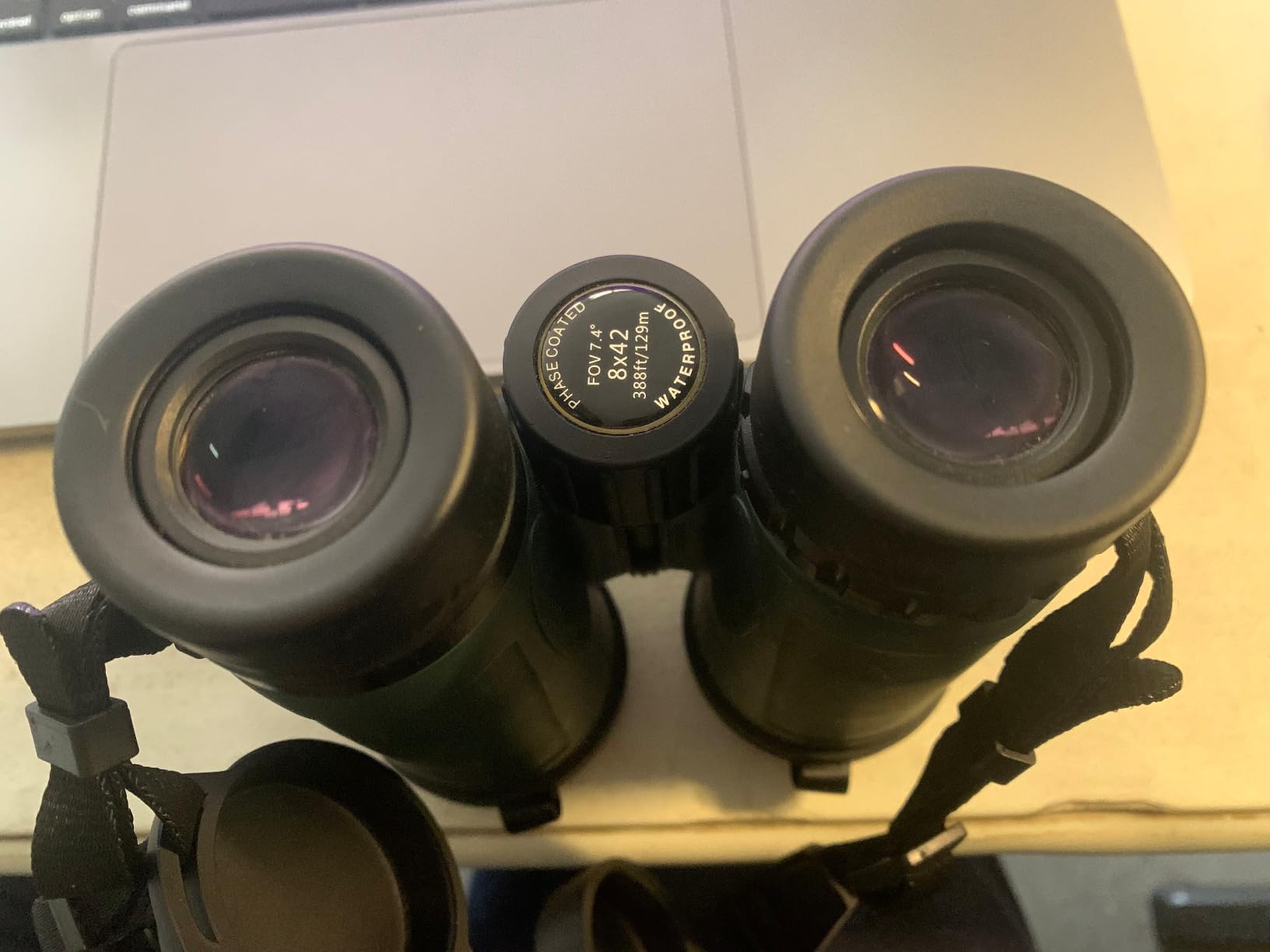 Celestron - Nature DX 8x42 Binoculars – Ideal for Birding and Outdoors – 42mm Objective Lenses – Wide 7.4° Field of View – BaK-4 Prisms – Fully Multi-Coated – Waterproof and Fogproof Customer Review Celestron - Nature DX 8x42 Binoculars – Ideal for Birding and Outdoors – 42mm Objective Lenses – Wide 7.4° Field of View – BaK-4 Prisms – Fully Multi-Coated – Waterproof and Fogproof - Customer Photo 4