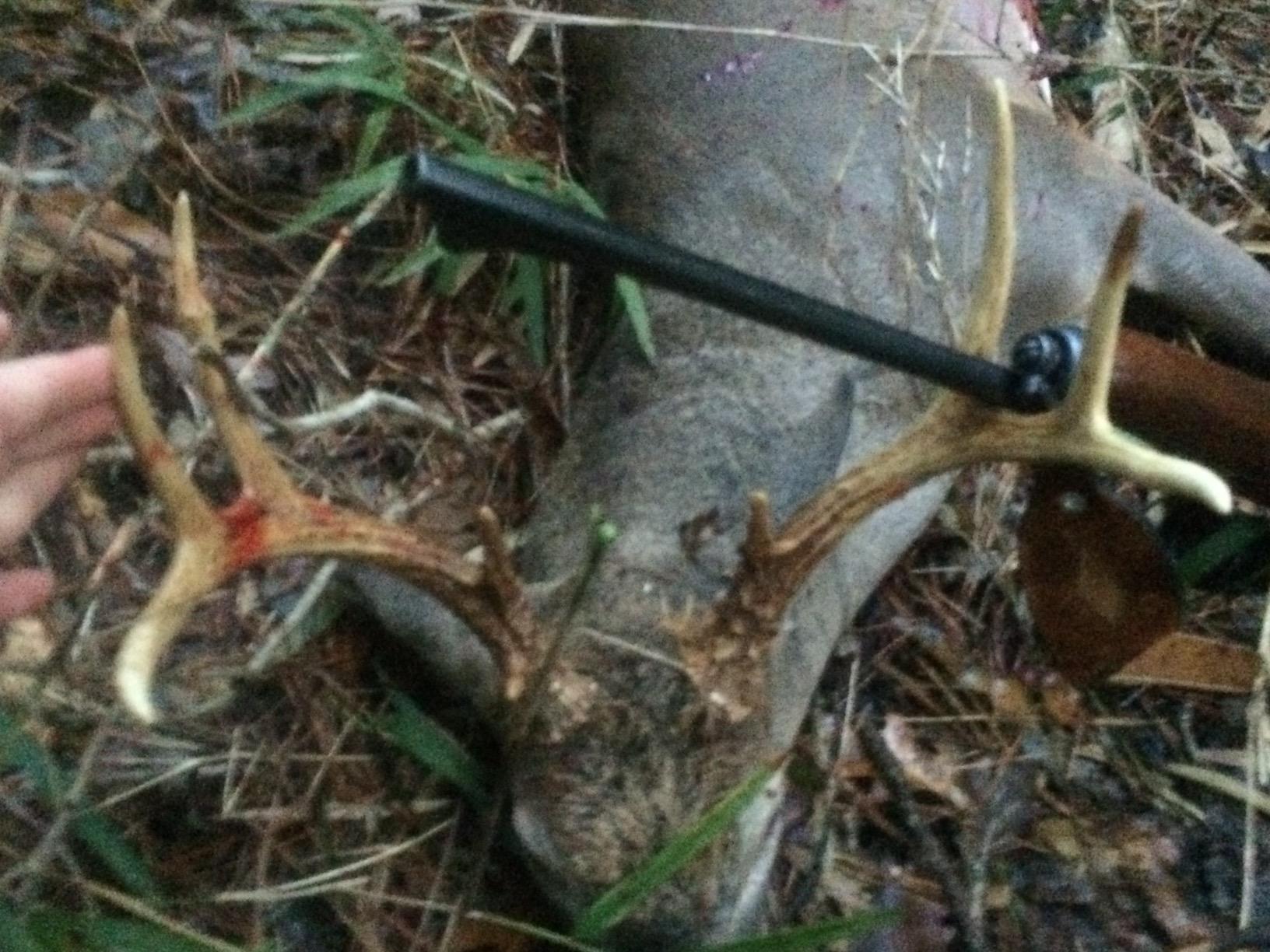 Extinguisher Deer Call by Illusion | Grunt Tube | Buck, Doe, Fawn | Adjustable 10-in-1 Call | Freeze Resistant customer photo 1