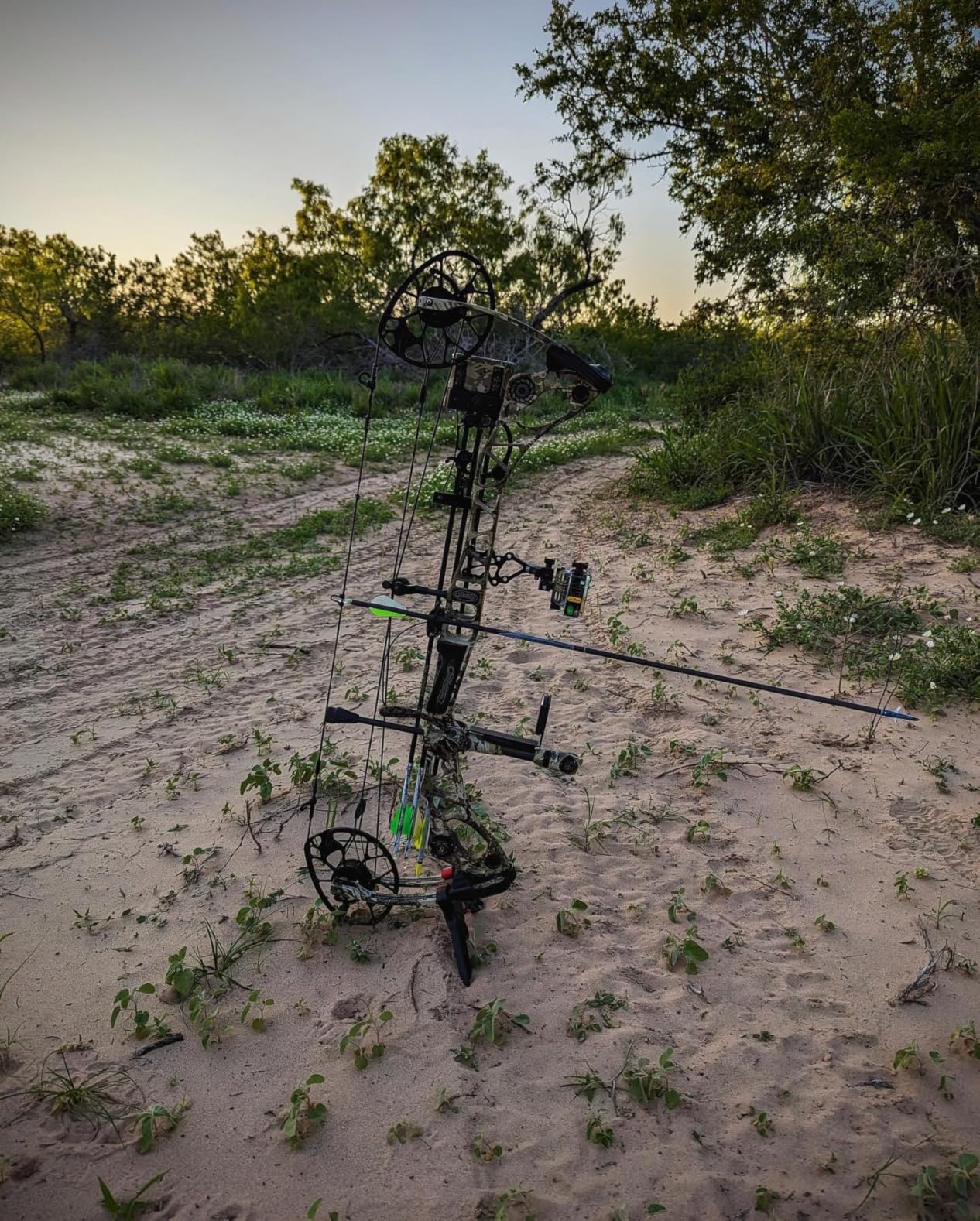 Trophy Ridge React Pro 5 Pin Bow Sight - Lighter, Stronger, More Reliable - Tool Less Windage and Elevation Adustability, 2nd/3rd Axis Leveling, Adjustable Click Light, Glow Ring - Customer Photo 2