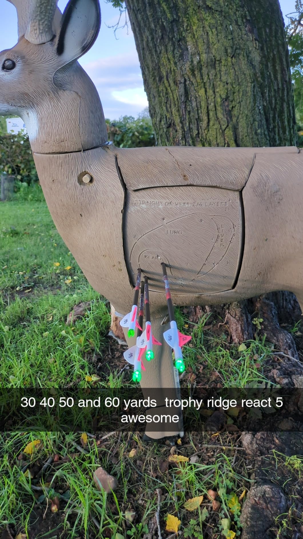 Trophy Ridge React H5 Bow Sight - 5 Pin Sight, Tool Less Windage and Elevation Adustability, 2nd Axis Leveling, Adjustable Click Light - Customer Photo 1