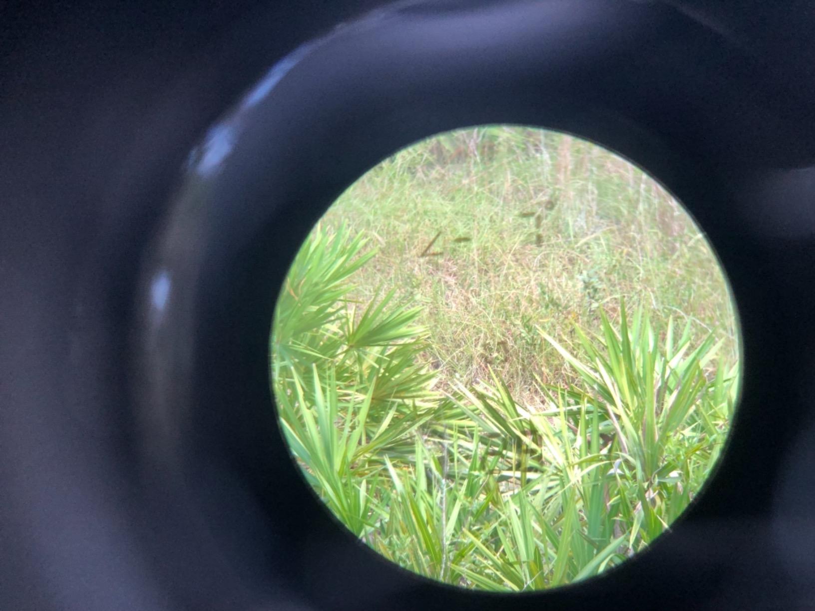 Halo Optics XL 450 Rangefinder customer photo 1