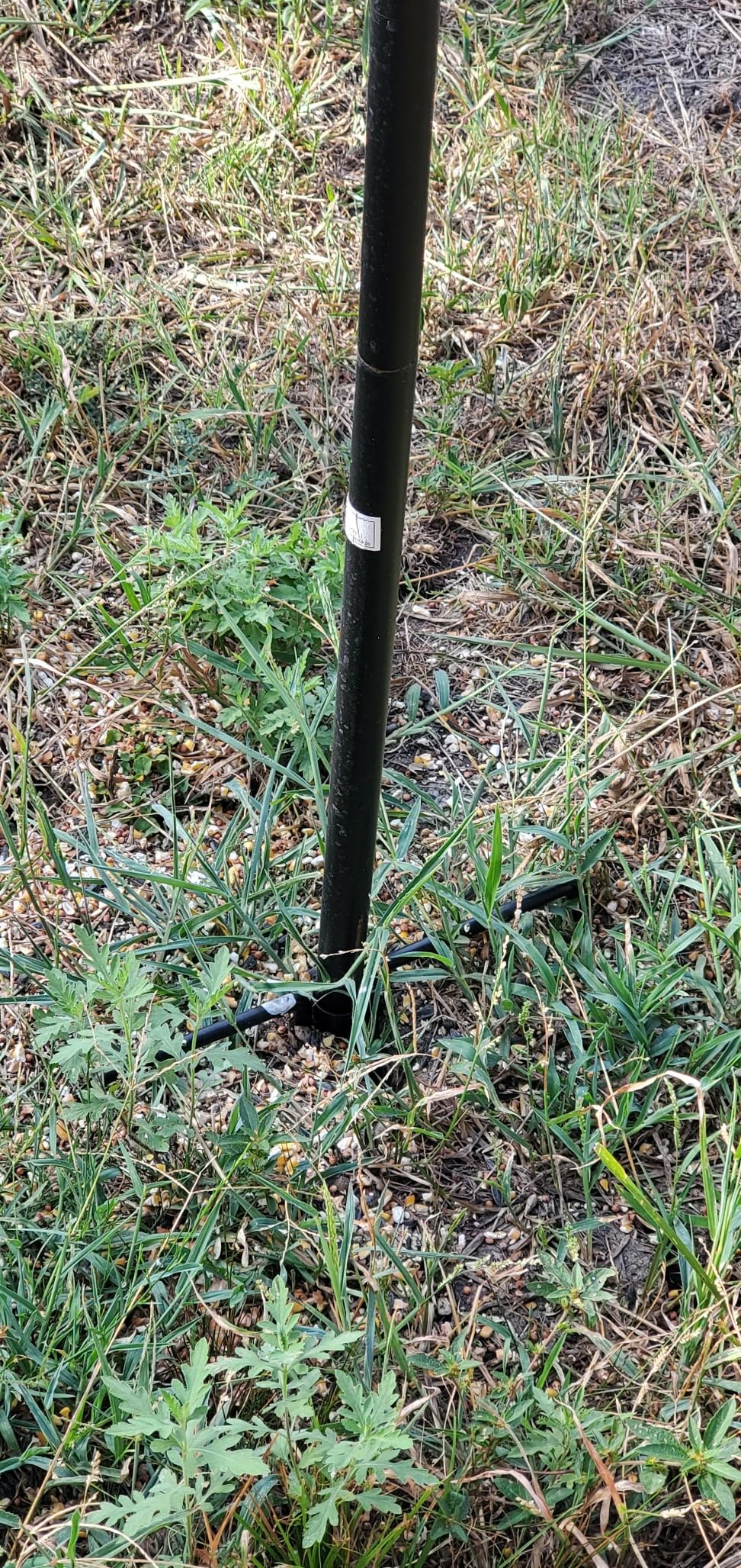 Best Choice Products 91in 4-Hook Feeding Station, Steel Multi-Feeder Kit Stand for Attracting Wild Birds w/ 2 Bird Feeders, Mesh Tray, Bird Bath, 4-Prong Base - Black Customer Review Best Choice Products 91in 4-Hook Feeding Station, Steel Multi-Feeder Kit Stand for Attracting Wild Birds w/ 2 Bird Feeders, Mesh Tray, Bird Bath, 4-Prong Base - Black - Customer Photo 2