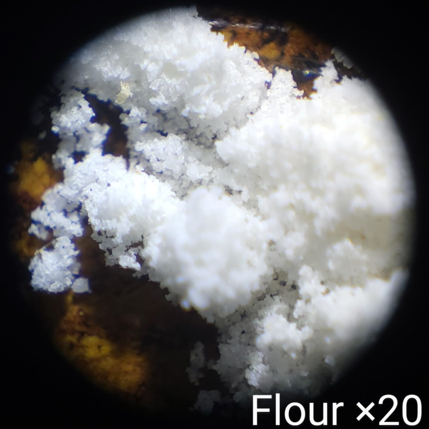 Carson Pocket Micro 20x-60x LED Pocket Microscope Handheld STEM Toy (MM-450) Customer Review Carson Pocket Micro 20x-60x LED Pocket Microscope Handheld STEM Toy (MM-450) - Customer Photo 1