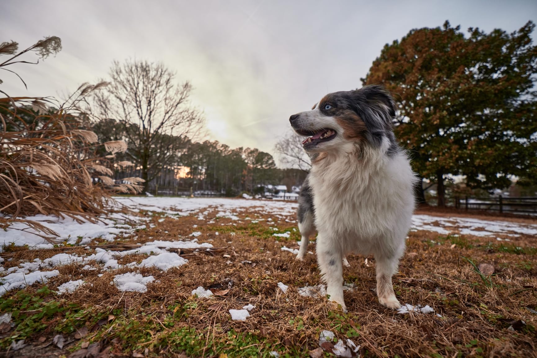 Rokinon AF 14mm F2.8 Ultra Wide Angle Lens for Canon EF Full Frame and APS-C – Weather Sealed, Fast Aperture, Quiet Autofocus, Built-in Hood, UMC Glass, Landscape, Architecture, Night Sky - Customer Photo 2