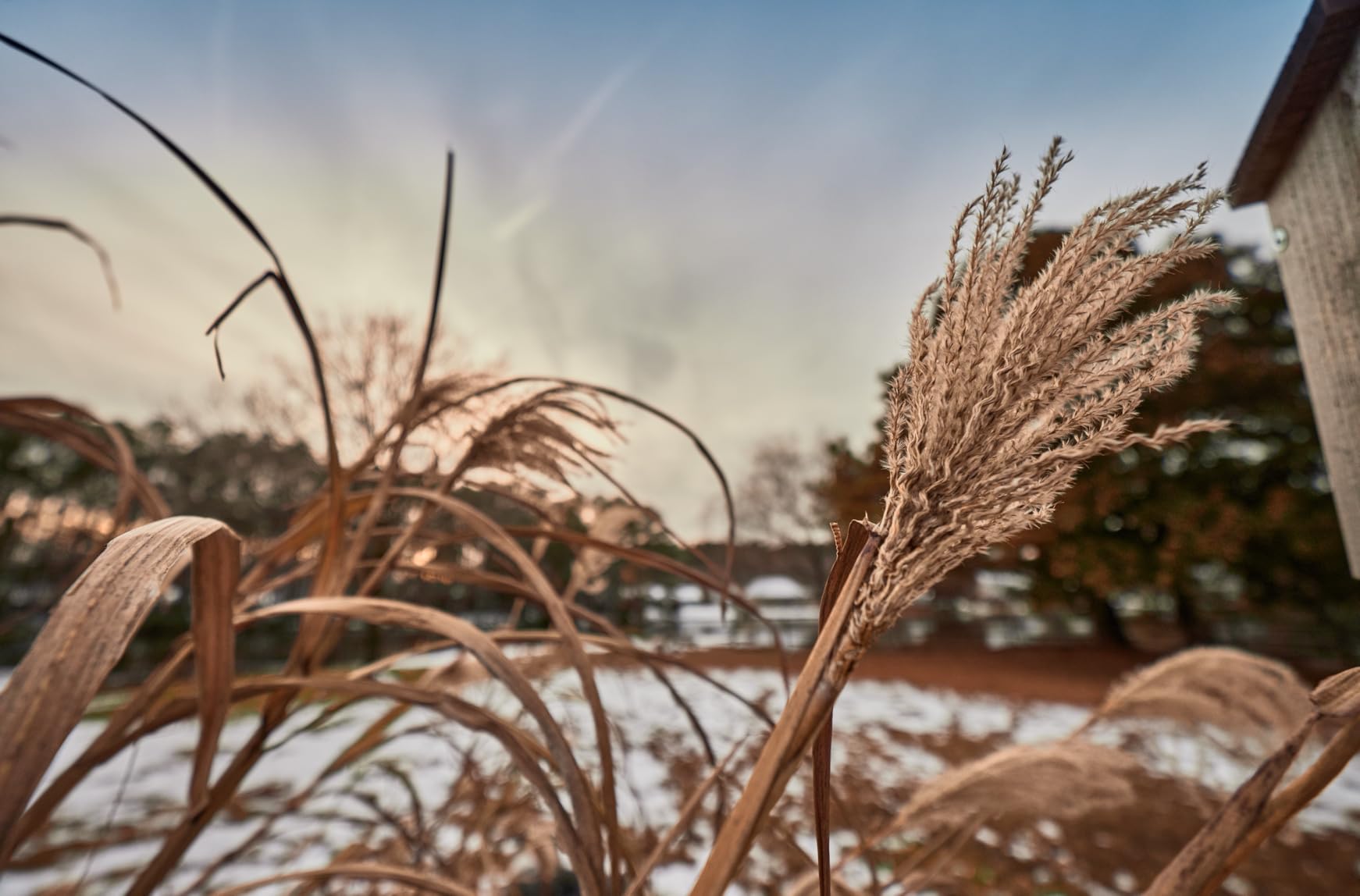 Rokinon AF 14mm F2.8 Ultra Wide Angle Lens for Canon EF Full Frame and APS-C – Weather Sealed, Fast Aperture, Quiet Autofocus, Built-in Hood, UMC Glass, Landscape, Architecture, Night Sky - Customer Photo 5