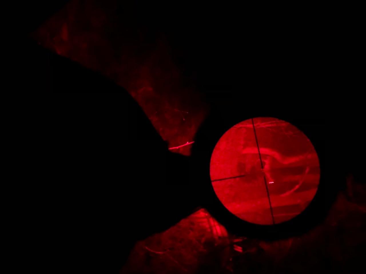 A8Plus Long Range Zoomable Hunting Flashlight Spotlight Kit, Green Red White Infrared 850nm IR Interchangeable LED Modules, Predator Night Light Torch for Coon Coyote Hog Fox Varmint - Customer Photo 1
