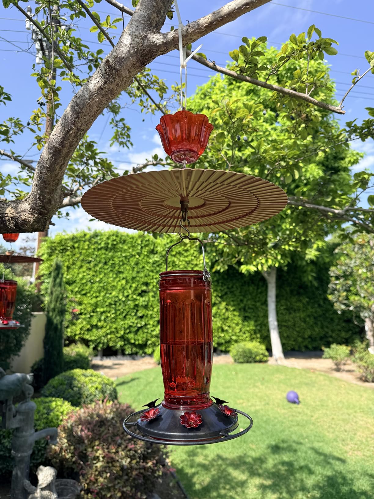 Kingsyard Glass Hummingbird Feeder for Outdoors Wild Bird Feeder with 6 Feeding Ports Hanging for Garden Yard, Red (Ant Moat Included) - Customer Photo 2