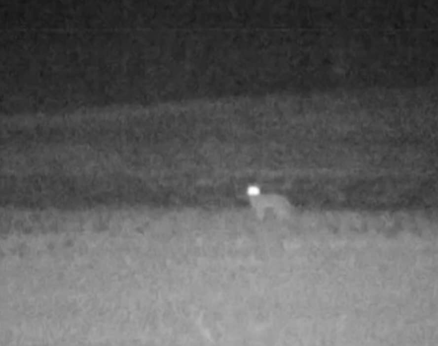 Bushnell EX650 Digital Equinox X650 Night Vision 5x 32mm Monocular Customer Review Bushnell EX650 Digital Equinox X650 Night Vision 5x 32mm Monocular - Customer Photo 1