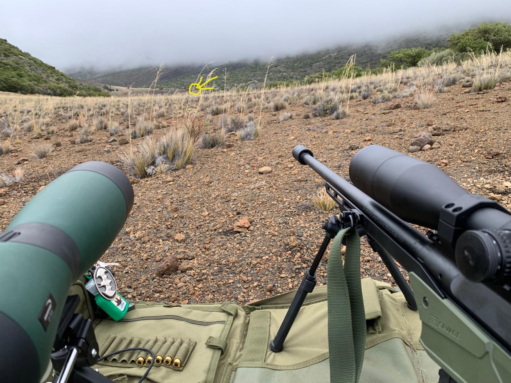 Vortex Optics Strike Eagle First Focal Plane Riflescopes - Customer Photo 4
