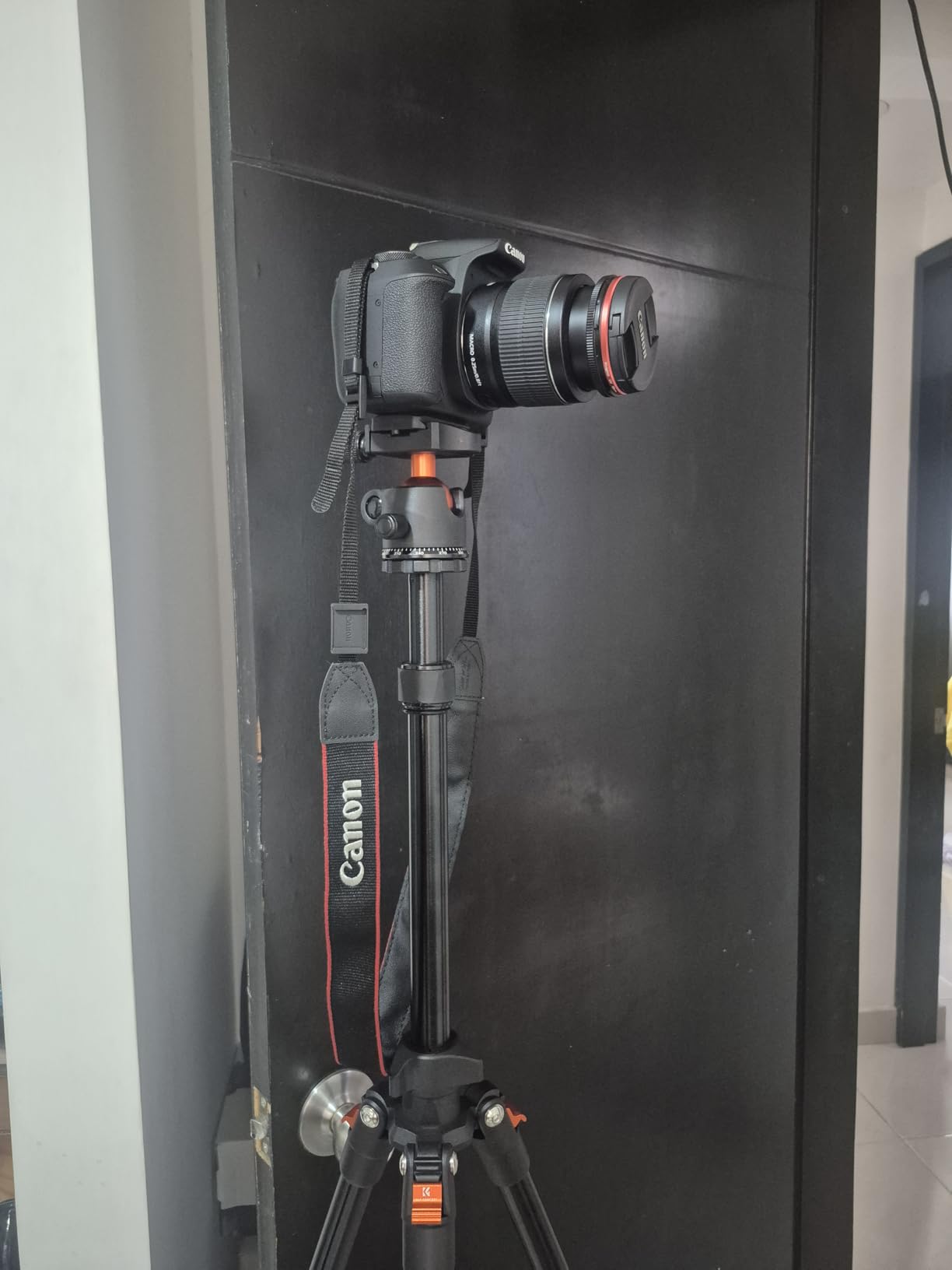 K&F CONCEPT 64 inch/163 cm Camera Tripod,Lightweight Travel Outdoor DSLR Tripods with 360 Degree Ball Head Load Capacity 17.6 lbs/8 kg,Cellphone Clip for Smartphone Live Streaming Vlog O234A1+BH-36 customer photo 1