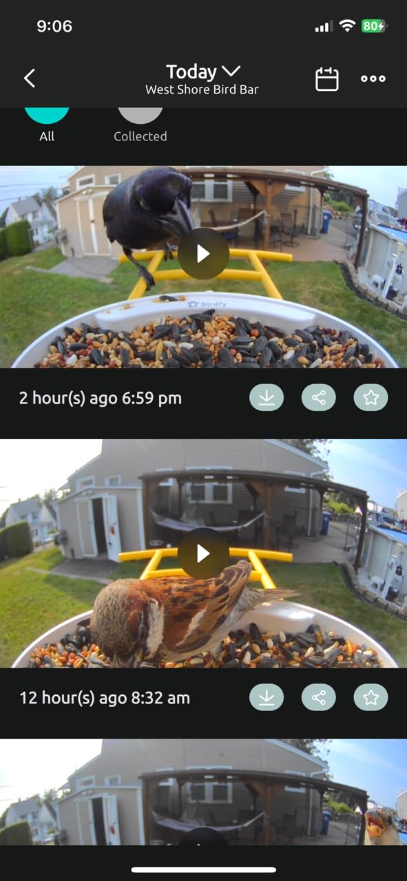 NETVUE by Birdfy Smart Bird Feeder with 2K AI Camera, Auto Capture Videos & Motion Detection, Live Steam, Wireless Wildbird Watching, Ideal Gift for Outdoor Backyard Birder(AI by Subscription) - Customer Photo 3