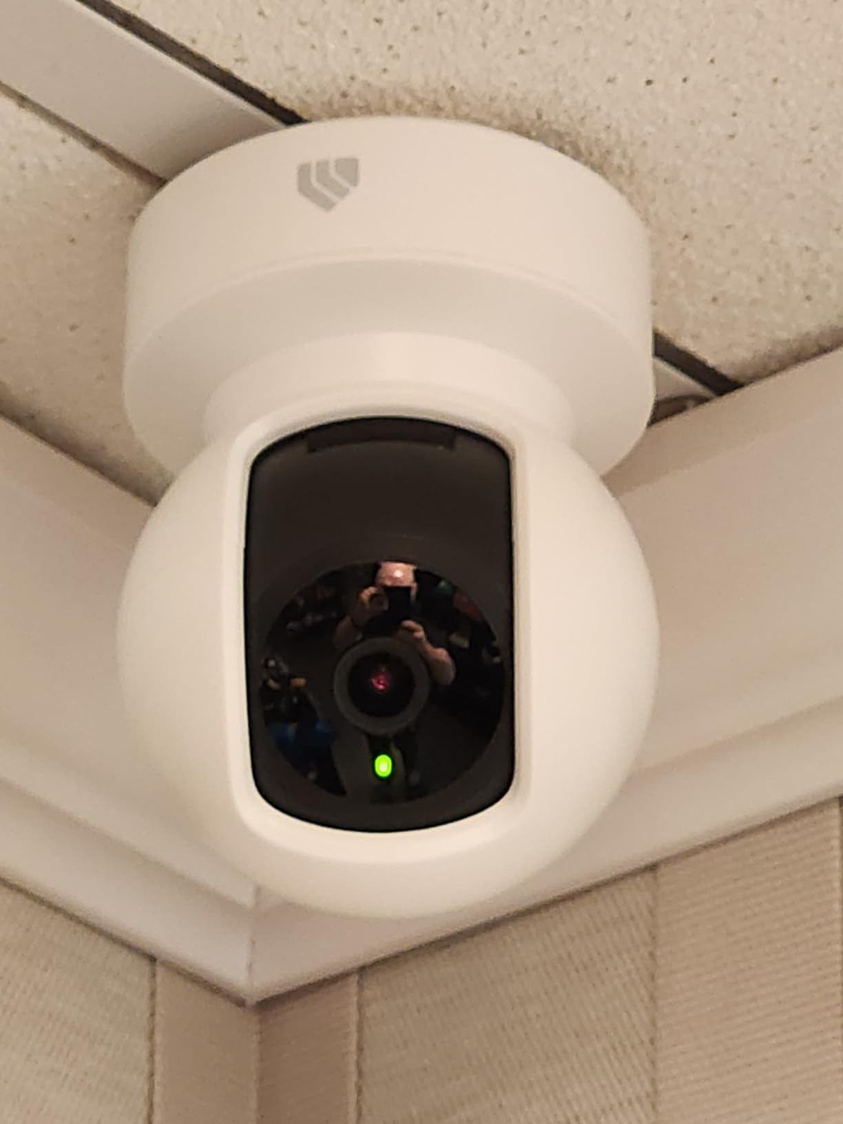 Kasa Smart Indoor Pan-Tilt Home Security Camera, 1080p HD Dog Camera w/Night Vision, Motion Detection for Baby & Pet Monitor, Cloud & SD Card Storage, Works w/ Alexa & Google Home, 2.4G WiFi (EC71) Customer Review Kasa Smart Indoor Pan-Tilt Home Security Camera, 1080p HD Dog Camera w/Night Vision, Motion Detection for Baby & Pet Monitor, Cloud & SD Card Storage, Works w/ Alexa & Google Home, 2.4G WiFi (EC71) - Customer Photo 1