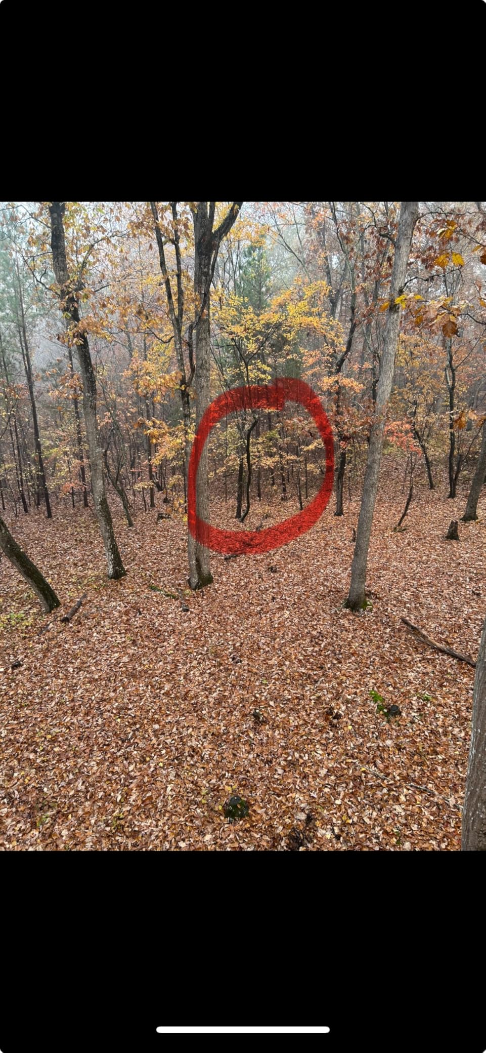 Bushnell Bone Collector 1800 Rangefinder, Hunting Range Finder with Bluetooth and Angle Range Compensation for Shooting and Hunting customer photo 2