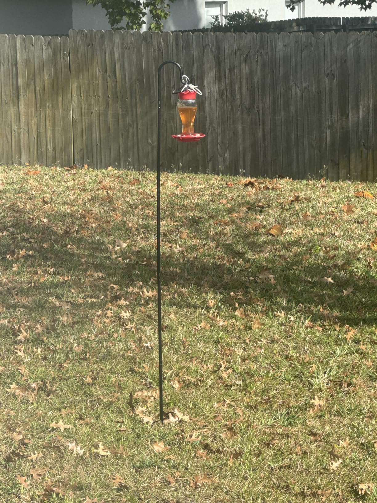 Shepherd Hooks for Outdoor, 1 Pack 62 Inch Bird Feeder Pole with 5 Prongs Base for Hanging Lantern, Hummingbird Feeder, Lightweight Plant, Shepherds Hook for Bird Feeders for Outside Customer Review Shepherd Hooks for Outdoor, 1 Pack 62 Inch Bird Feeder Pole with 5 Prongs Base for Hanging Lantern, Hummingbird Feeder, Lightweight Plant, Shepherds Hook for Bird Feeders for Outside - Customer Photo 2
