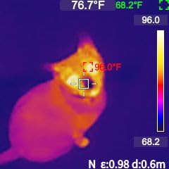 MILESEEY TR10 Thermal Imaging Camera, Super Resolution 192 x 192 Thermal Camera, 25 Hz Refresh Rate, -4°F to 1022°F Handheld Infrared Imager, 8-Hour Battery Life Infrared Camera customer photo 1