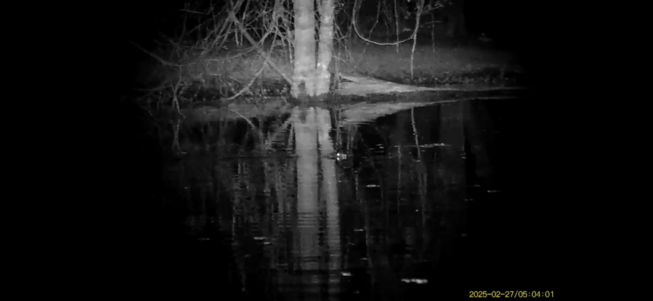 Triton StarStrike Gen II 5-20x HD Night Vision Rifle Scope | IR Infrared Scope Customer Review Triton StarStrike Gen II 5-20x HD Night Vision Rifle Scope | IR Infrared Scope - Customer Photo 3