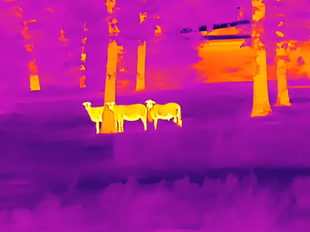 GOYOJO GRL325/GRL335 Thermal Scope for Hunting, 384x288 Thermal Vision Riflescope with High Sensitivity Optics, 55Hz Thermal Night Vision Scope with 64GB Storage Customer Review GOYOJO GRL325/GRL335 Thermal Scope for Hunting, 384x288 Thermal Vision Riflescope with High Sensitivity Optics, 55Hz Thermal Night Vision Scope with 64GB Storage - Customer Photo 1