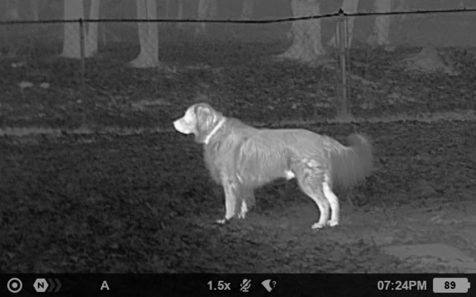 Pulsar Axion XQ19 Compact Thermal Imaging Monocular - Customer Photo 1
