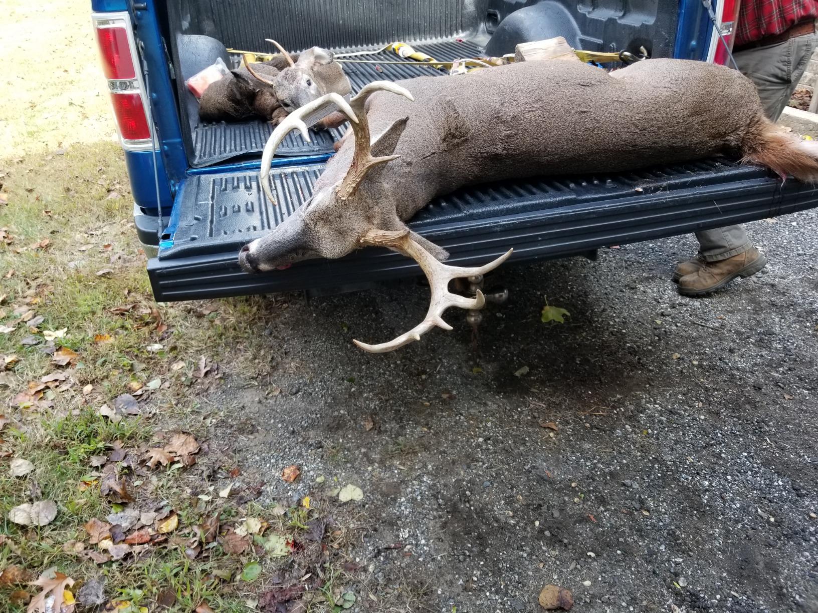 Bushnell Banner 3-9x40mm Riflescope, Dusk & Dawn Hunting Riflescope - Customer Photo 5