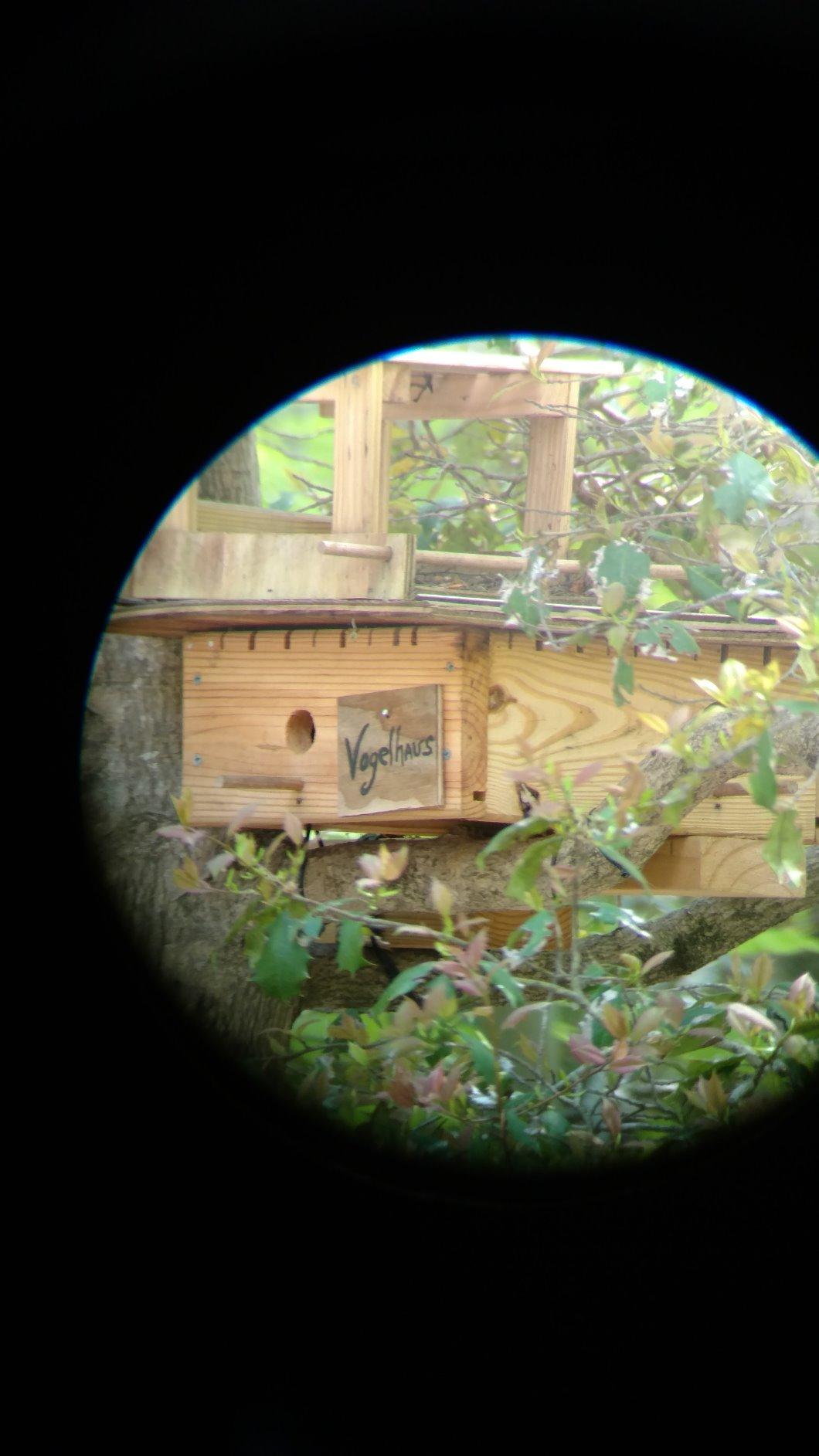 Celestron Ultima 20-60x80 Straight Spotting Scope for Hunting customer photo 2