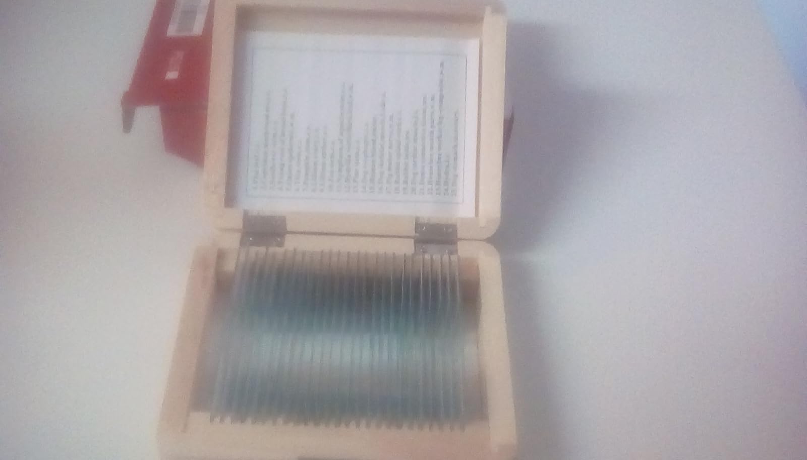 AmScope PS25 Prepared Microscope Slide Set for Basic Biological Science, 25 Slides with Wooden Storage Case customer photo 1