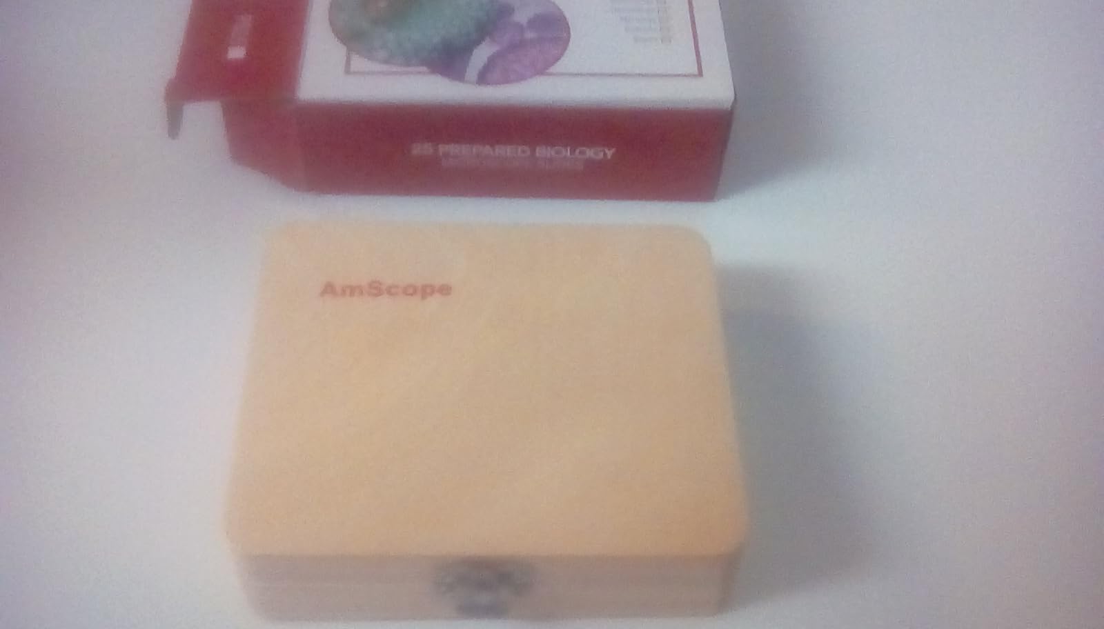 AmScope PS25 Prepared Microscope Slide Set for Basic Biological Science, 25 Slides with Wooden Storage Case customer photo 2