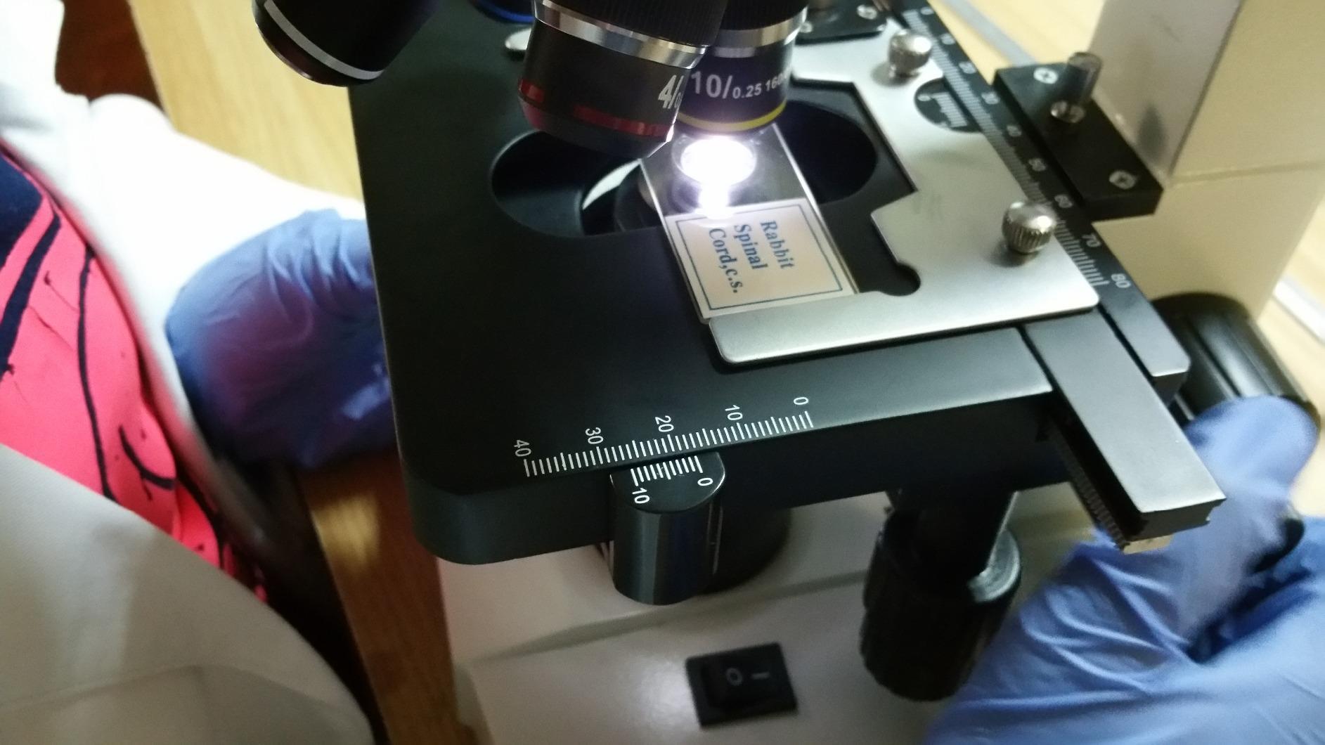 OMAX - MD82ES10 40X-2000X Digital LED Compound Microscope with Built-in 1.3MP Camera and Double Layer Mechanical Stage Compatible with Windows and Mac customer photo 1