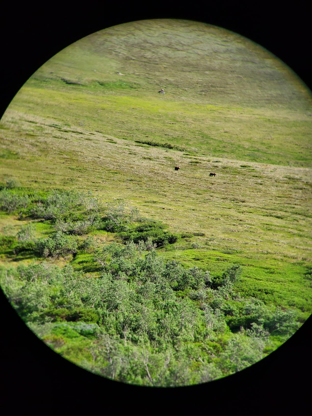 Steiner Tactical Series Binoculars, Lightweight Precision Optics for Any Situation customer photo 1
