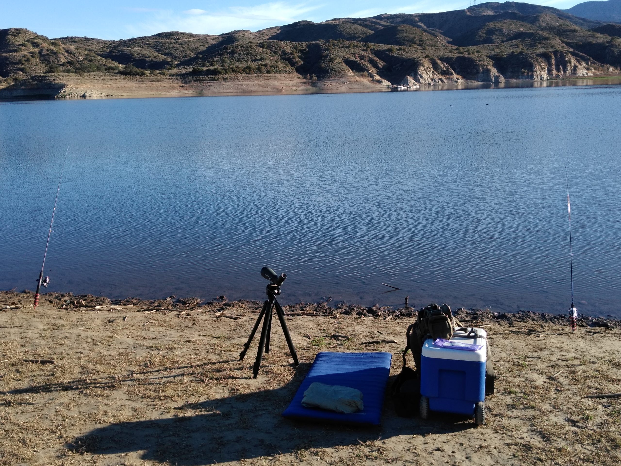 Celestron TrailSeeker Tripod for Spotting Scopes, Binoculars & Cameras | Quick-Release Plate, Smooth Pan & Tilt customer photo 1