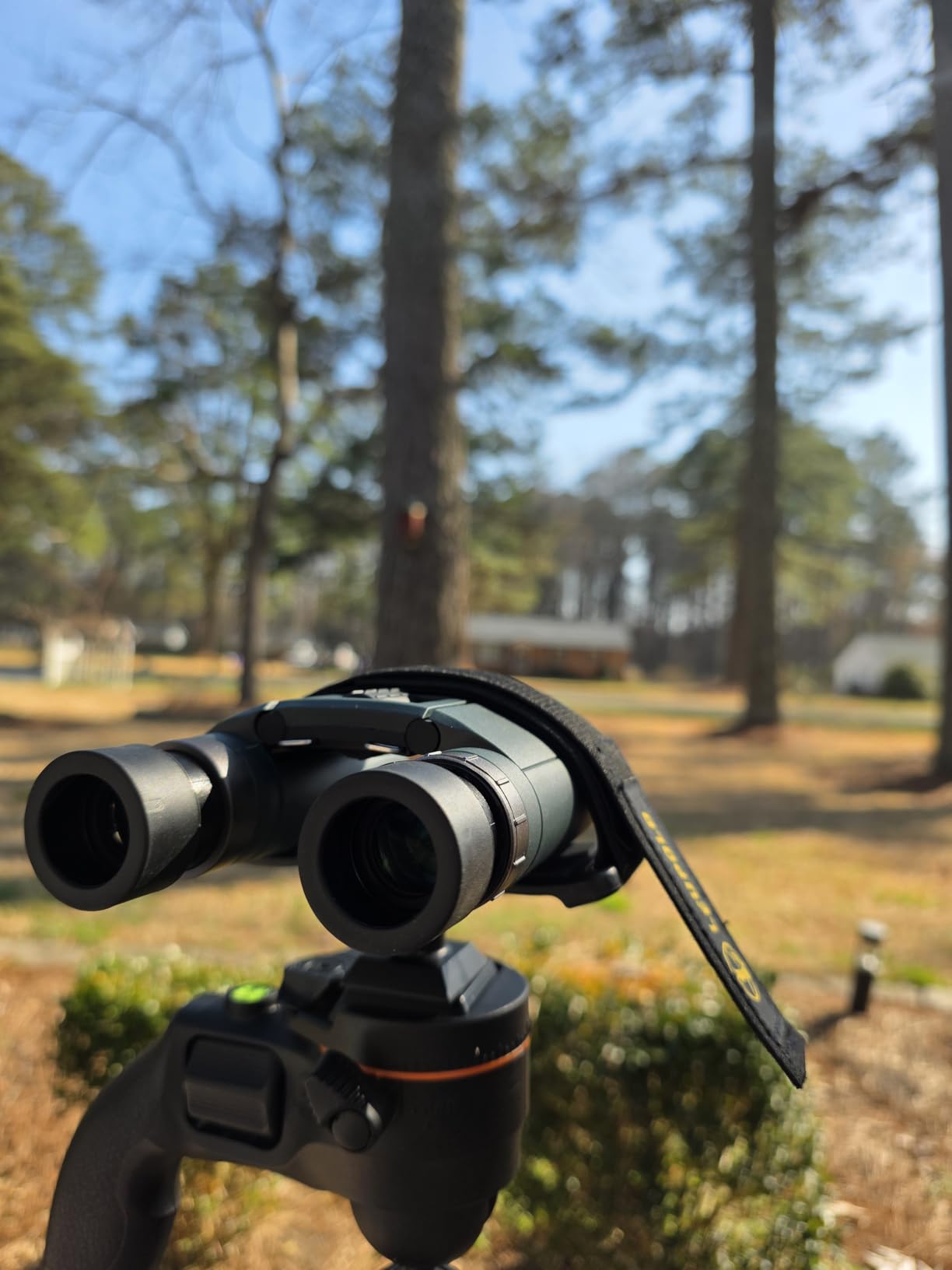 AD 8x25 WP Binoculars suitable for outdoor live event travel or even mountaineering, Green customer photo 2