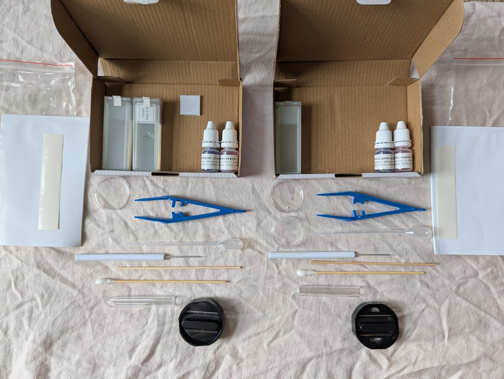AmScope SP-14 Microscope Slide Preparation Kit Including Stains | Includes Blank Slides, Eosin Red & Methylene Blue Stains, Tweezers, Swab & More customer photo 2