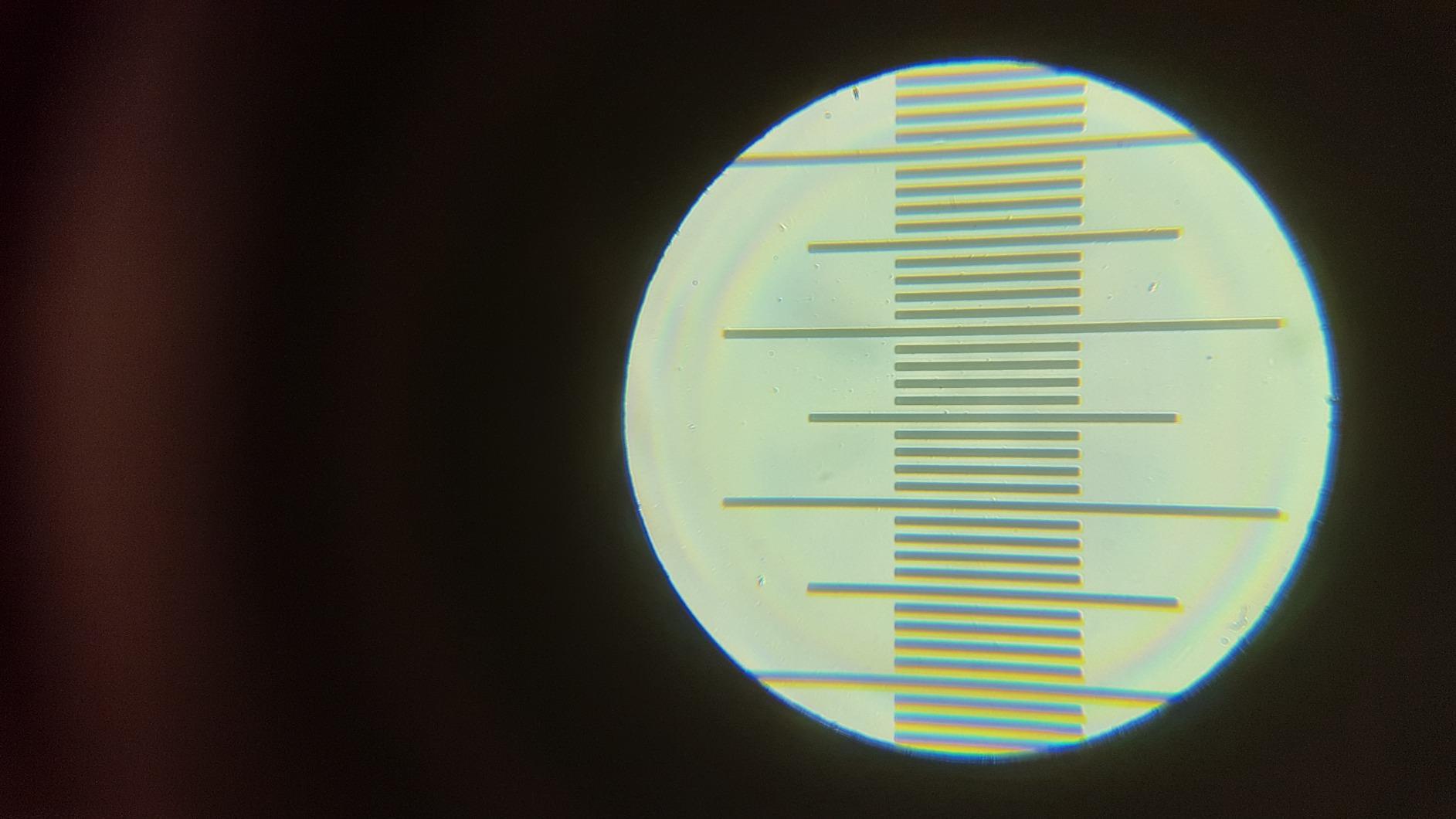 AmScope M162C-2L-PB10 1000X Dual Light Glass Lens Metal Frame Microscope, 40X-1000X Magnification Range customer photo 2