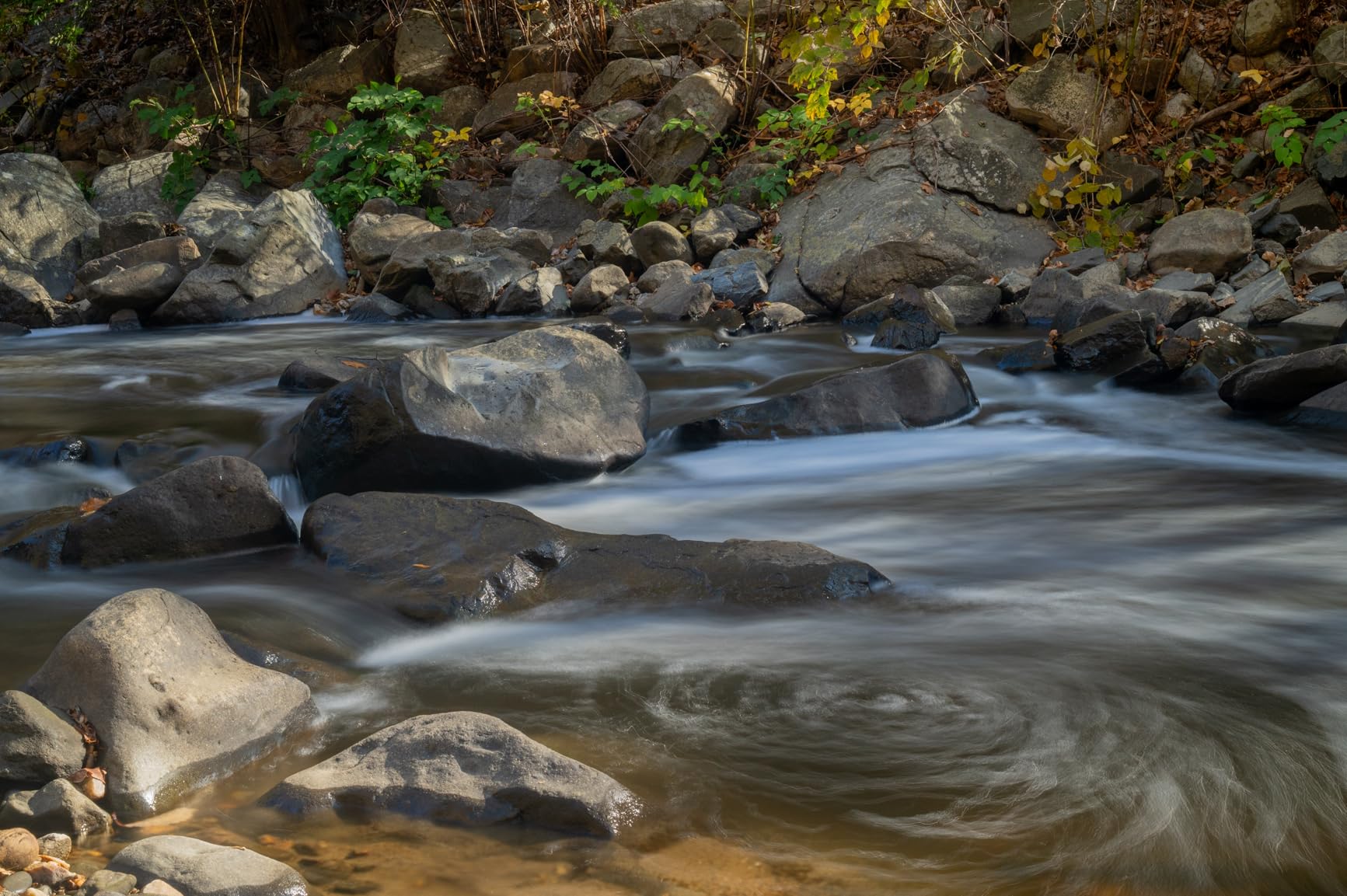 Nikon NIKKOR Z 24-70mm f/2.8 S | Professional large aperture mid-range zoom lens for Z series mirrorless cameras | Nikon USA Model | 24-70mm F/2.8 Constant, Nano Crystal Plus Arneo Coatings, 82mm Filter, 805 G customer photo 2
