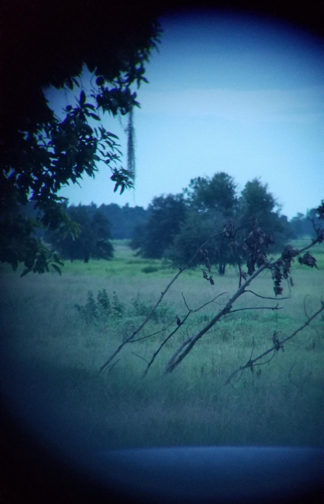 Leupold RX-2800 TBR/W Laser Rangefinder customer photo 2