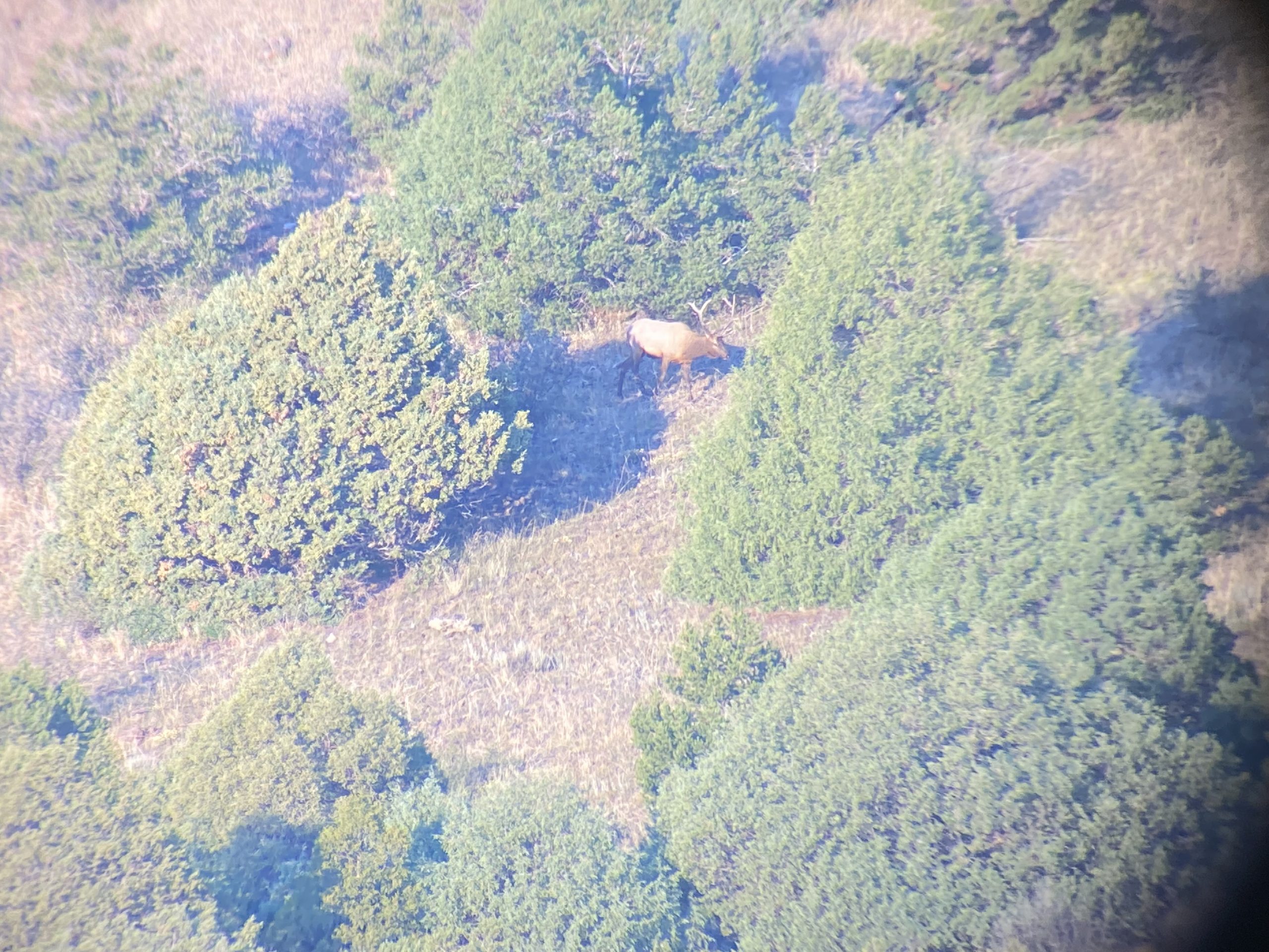 Athlon Optics Ares UHD 15-45x65 Spotting Scope customer photo 1