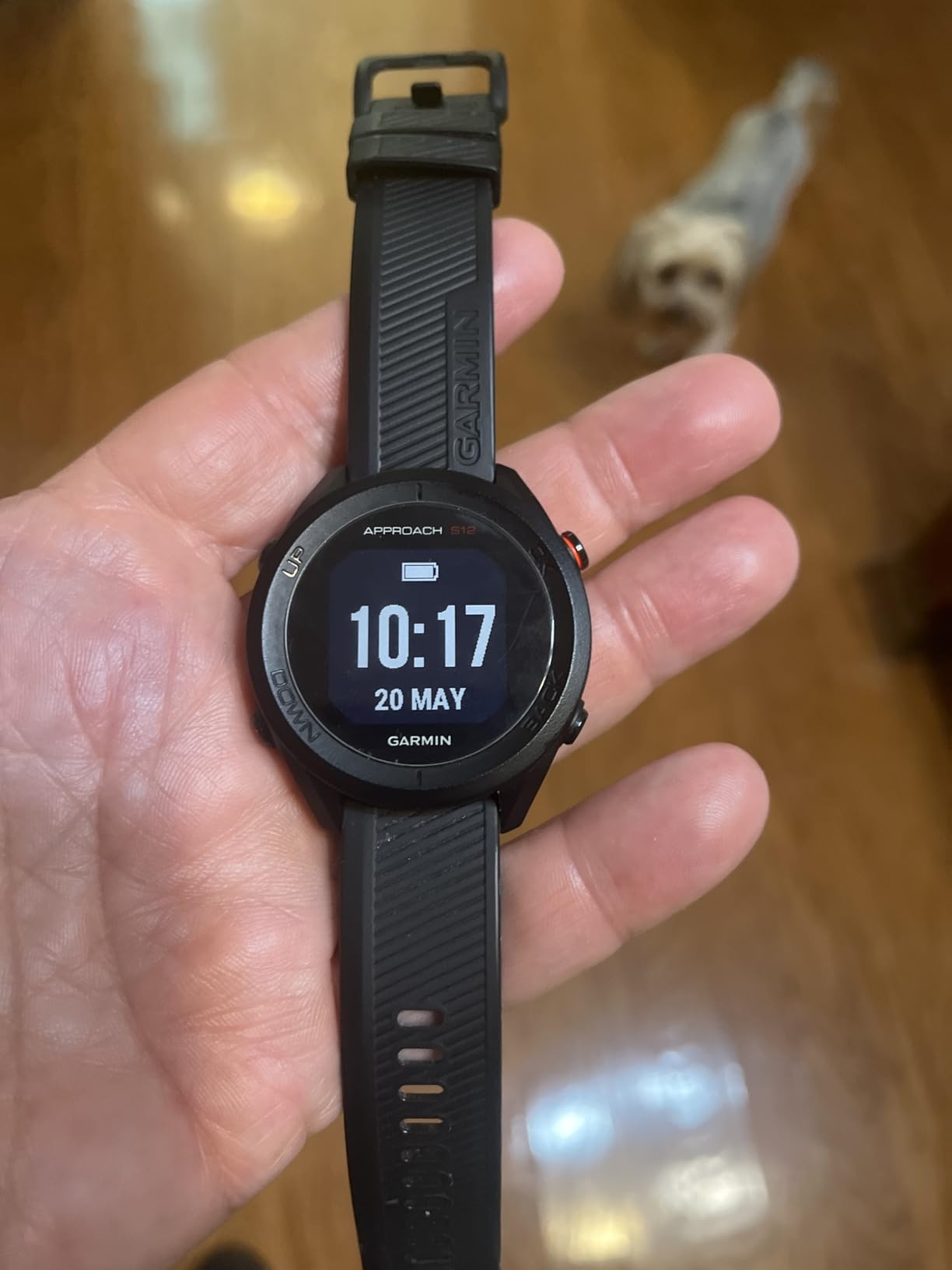 Garmin Approach S12, Easy-to-Use GPS Golf Watch, 42k+ Preloaded Courses, Black customer photo 2