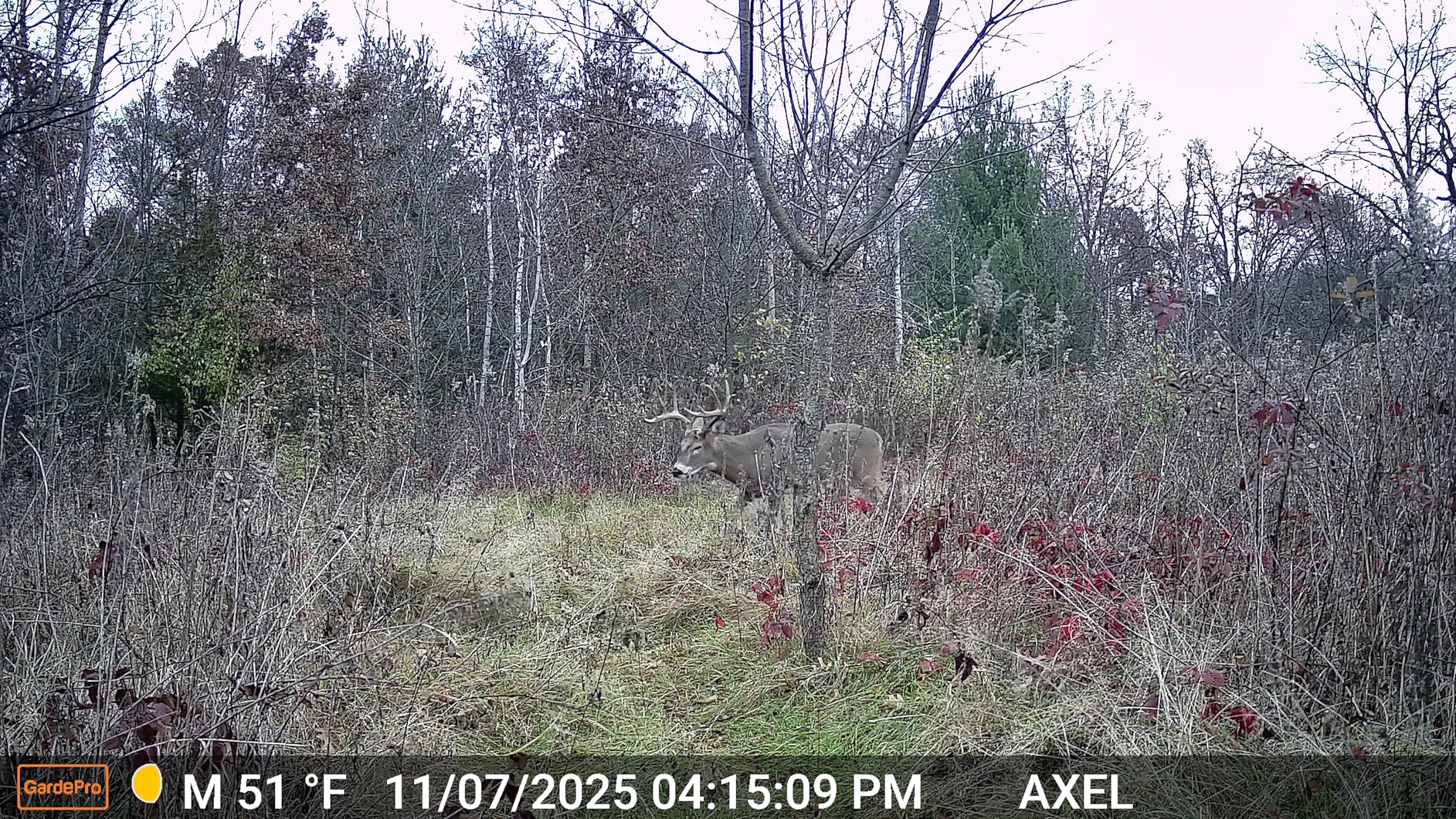 GardePro E5S Non-Cellular Trail Camera, 64MP Photo & 1296P HD Video customer photo 1
