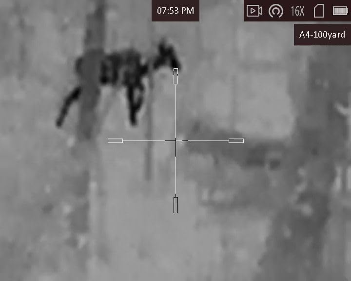 AGM Adder Thermal Imaging Scope for Hunting customer photo 1