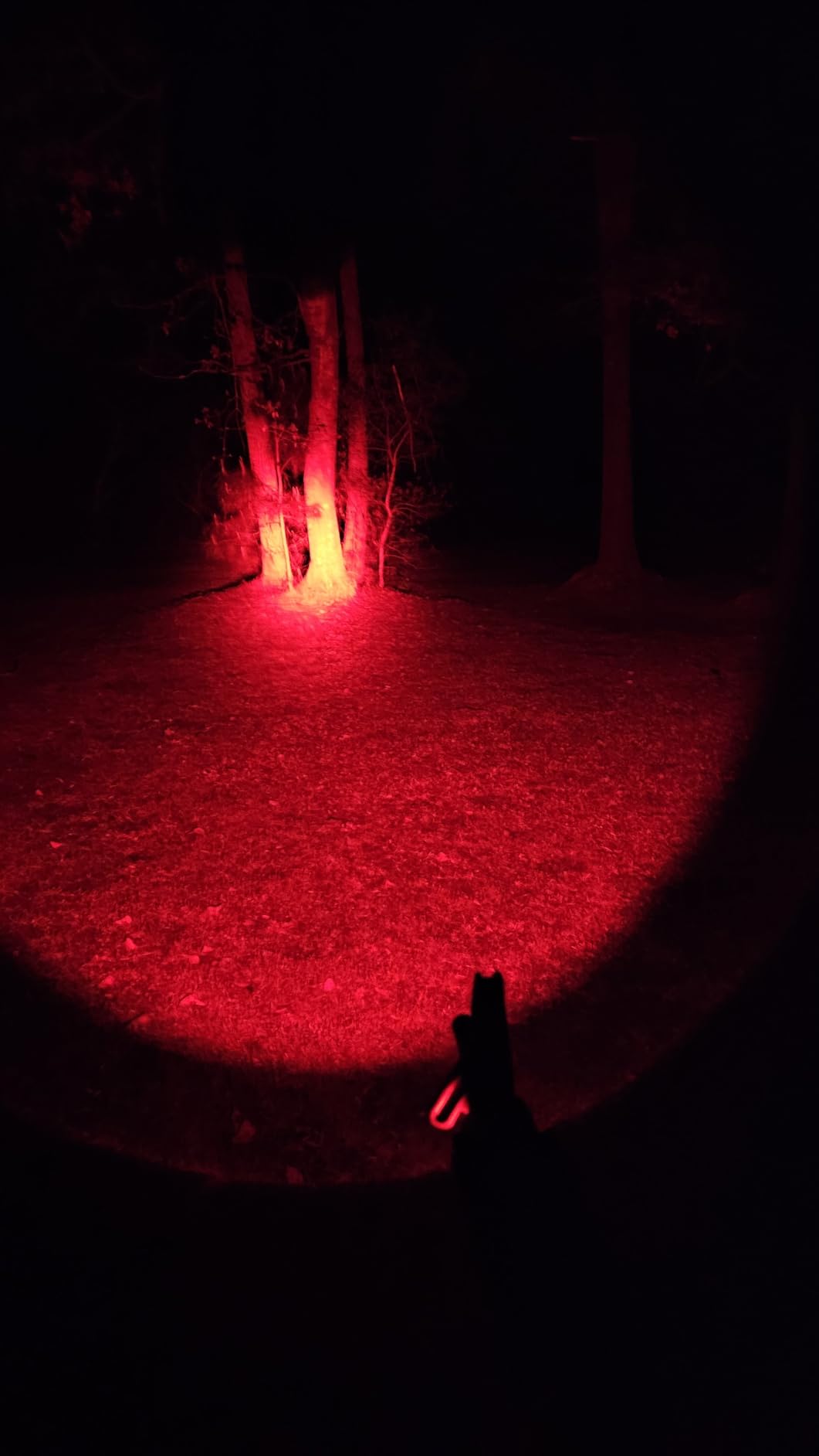 TOUGHSOUL Hunting Flashlight Red Light, Low Profile Mlok Picatinny Mounted | Portable Flashlight for Coyote Hog Varmint Night Hunt customer photo 1