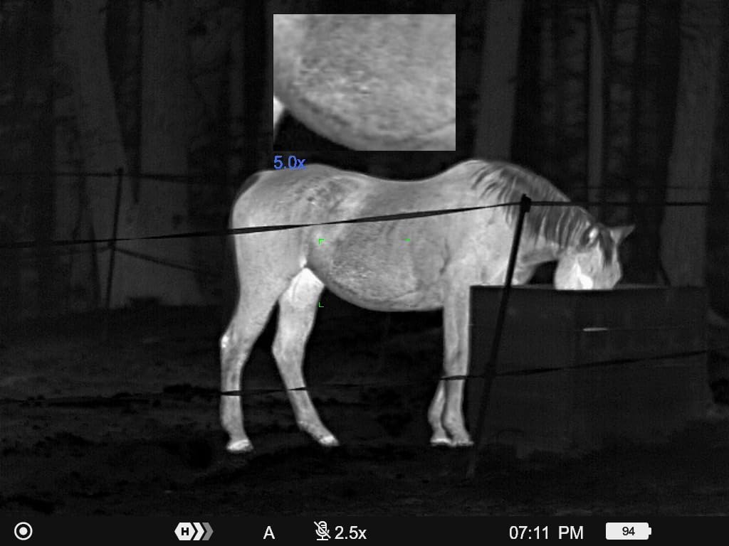 Pulsar Telos Thermal Imaging Monocular customer photo 1