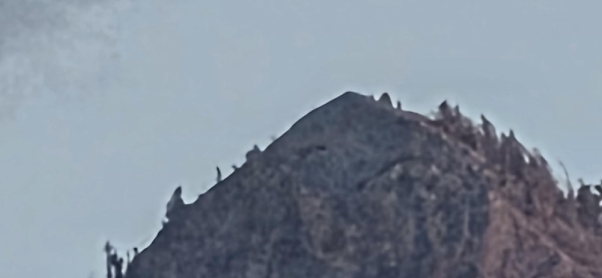 Canon RF 200-800mm f/6.3-9 is USM Super-Telephoto Zoom Lens customer photo 2