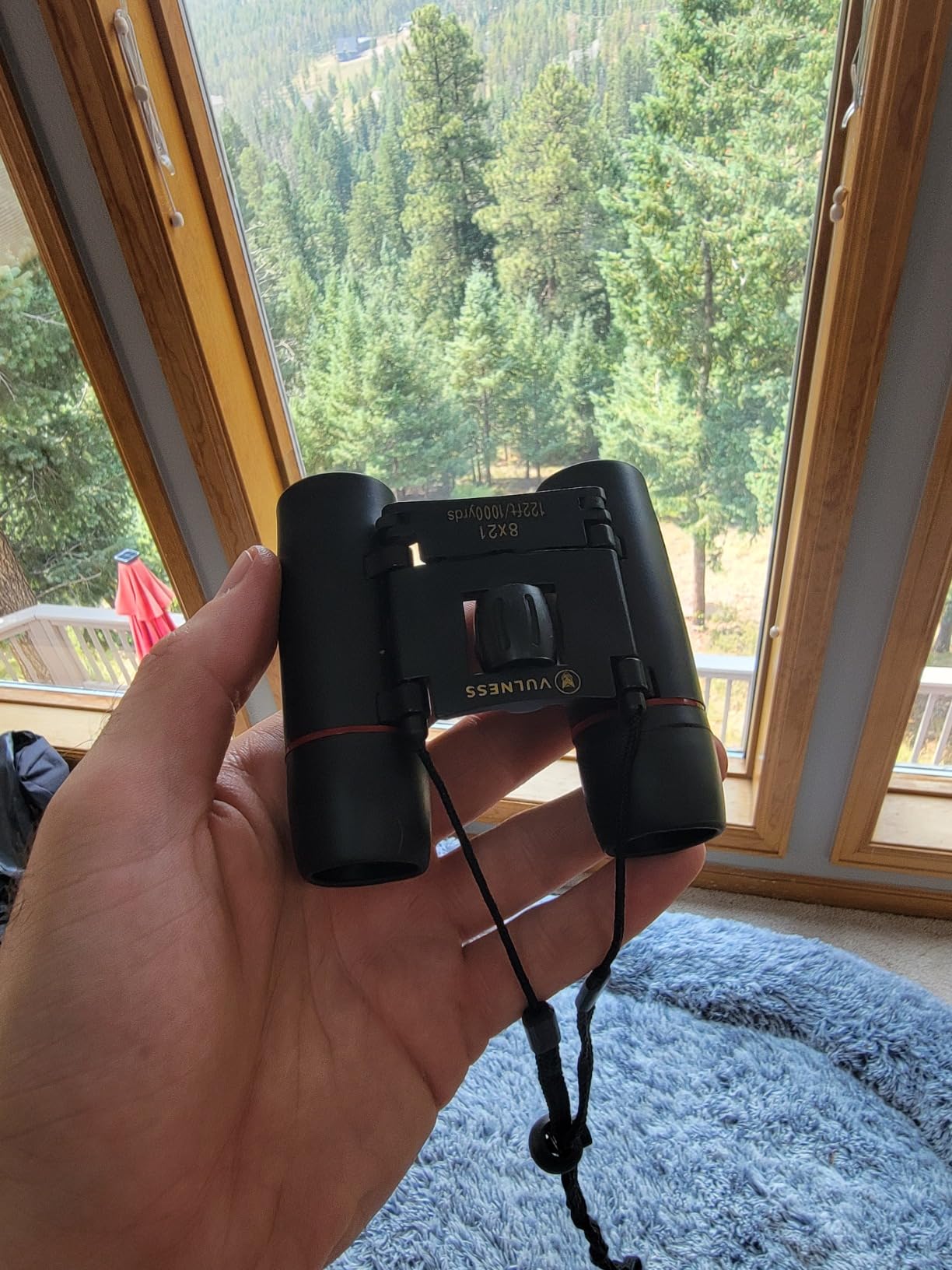 Binoculars for Adults - Compact Small Mini Travel Binocular for Bird Watching High Powered Electronics Cruise Ship Essentials Hiking Camping Gear by VULNESS (Black, 8X21) customer photo 2