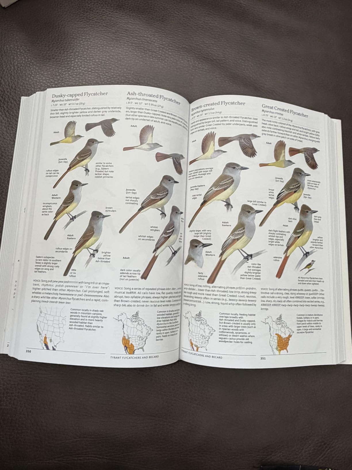 The Sibley Guide to Birds, 2nd Edition customer photo 1