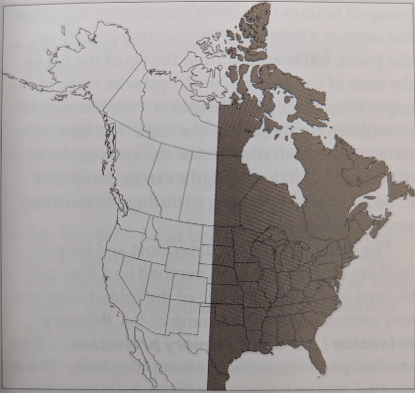 The New Stokes Field Guide to Birds: Eastern Region customer photo 1