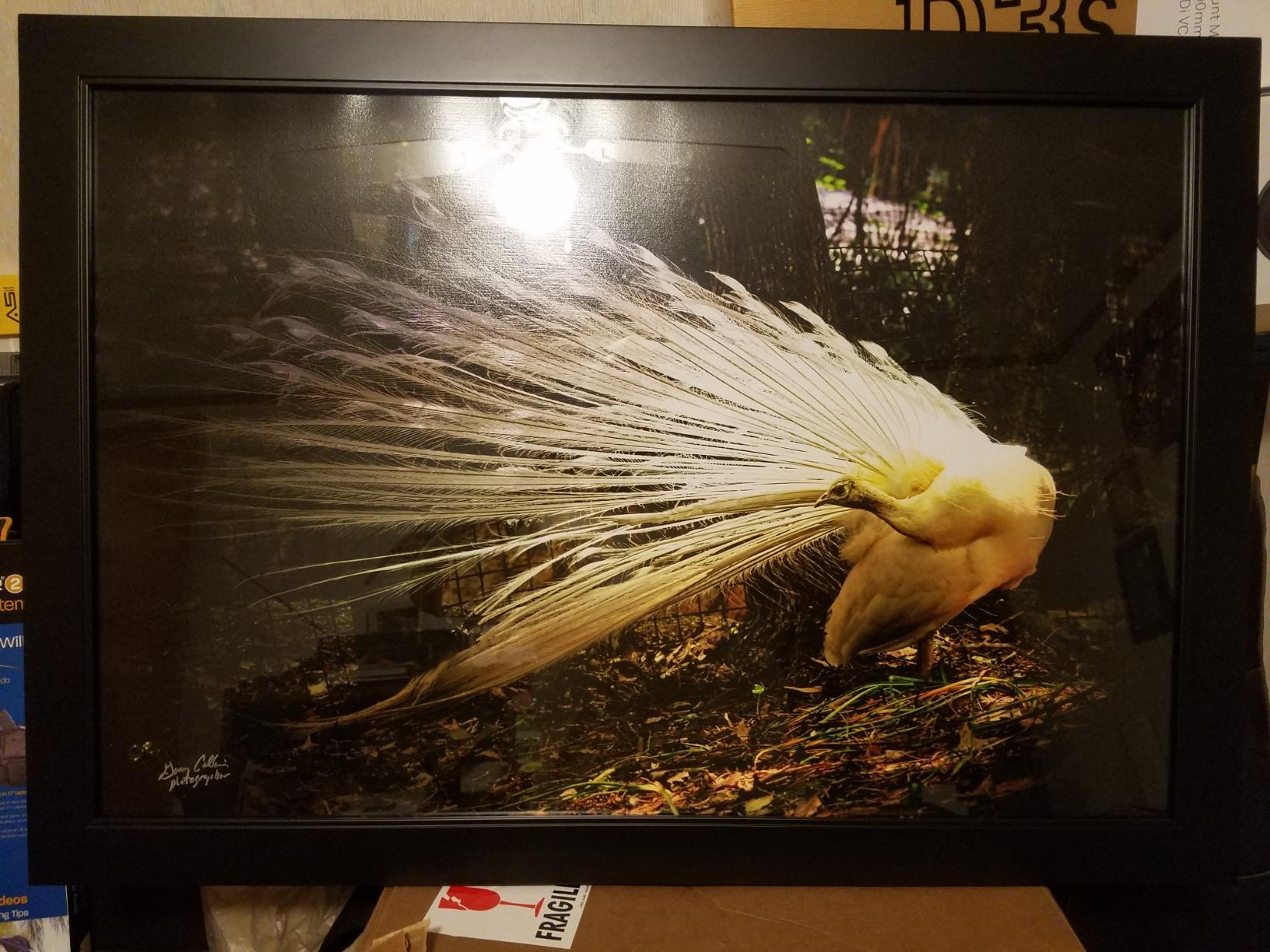 National Geographic Complete Photography customer photo 1