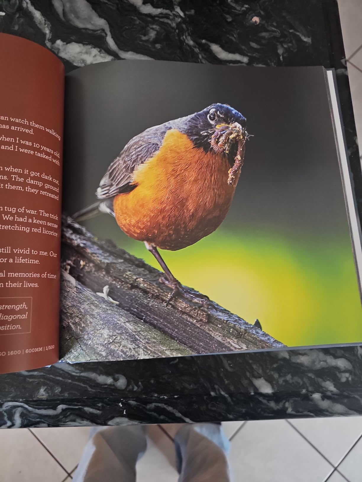 Reflections of a Wildlife Photographer customer photo 2