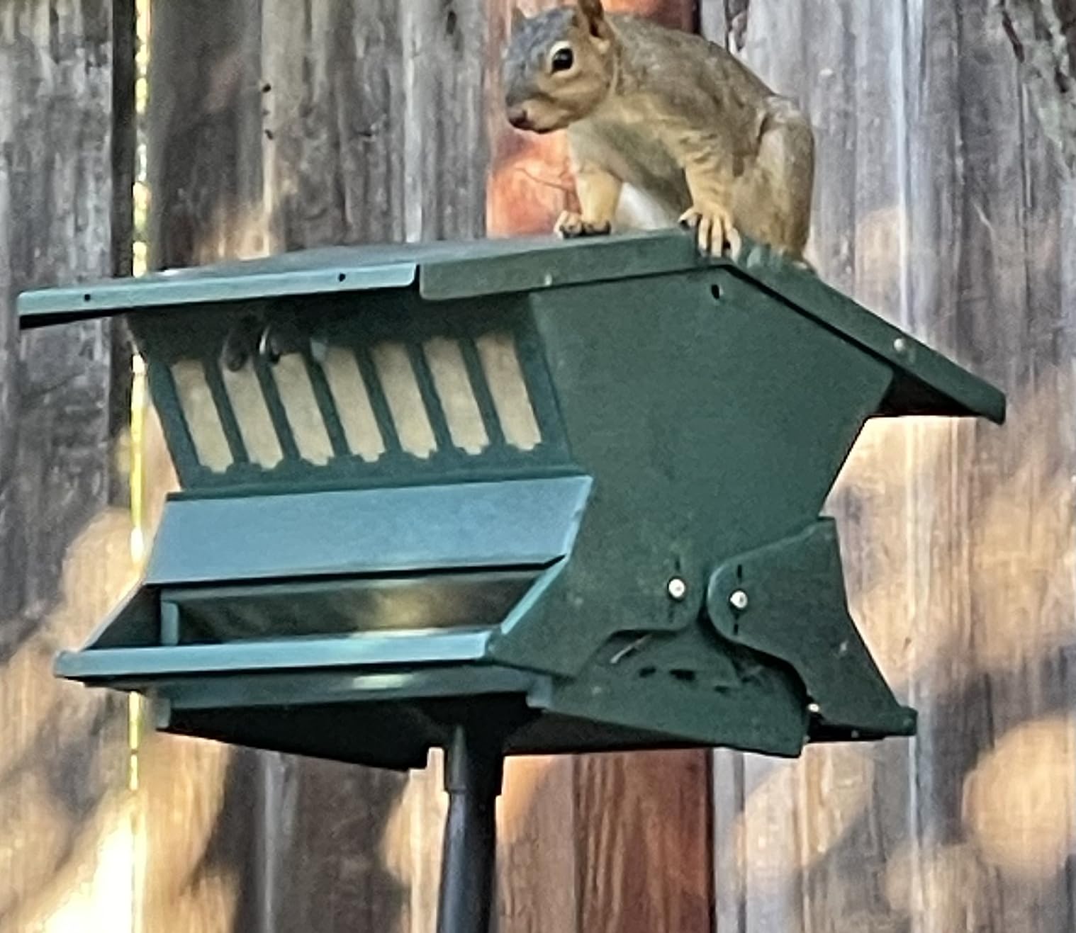 Woodlink Absolute II Squirrel Resistant Bird Feeder Model 7536, 12 lbs, Model:301045 customer photo 1